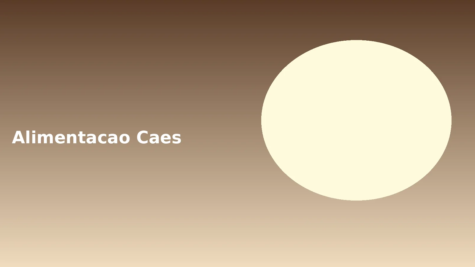 Cão com comedouro e tigela de água em cozinha clara