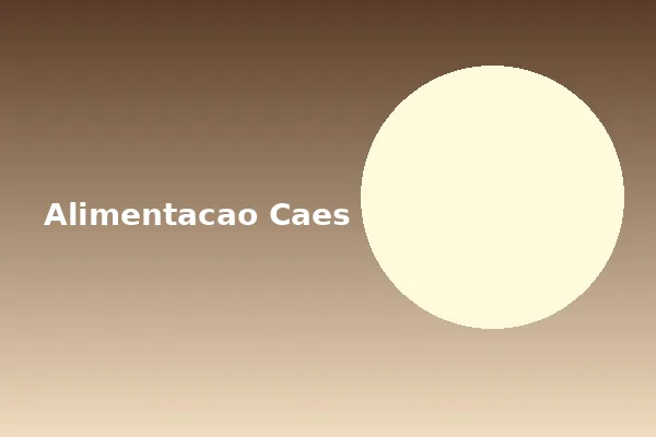 Comedouro e acessórios de alimentação para cães