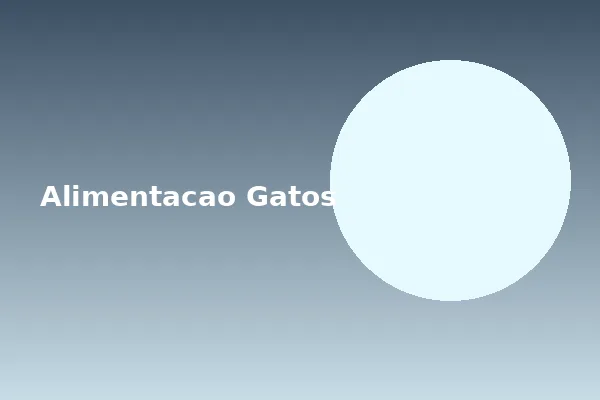 Fonte de água e alimentação para gatos