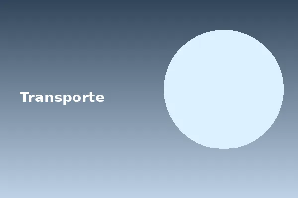 Transporte e identificação