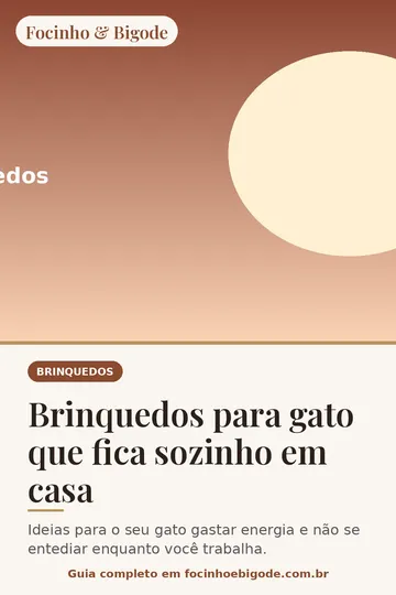 Capa vertical do guia: Brinquedos para gato que fica sozinho em casa