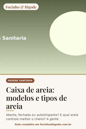 Capa vertical do guia: Caixa de areia: modelos e tipos de areia