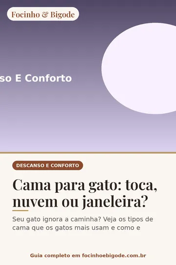 Capa vertical do guia: Cama para gato: toca, nuvem ou janeleira?