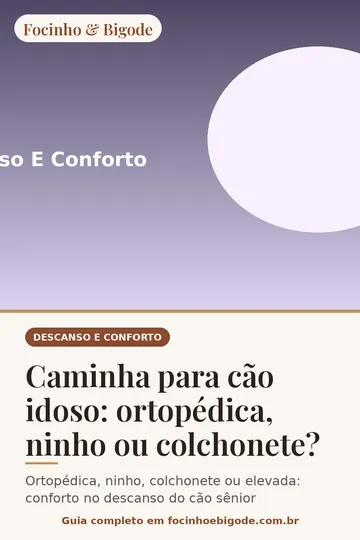 Capa vertical do guia: Caminha para cão idoso: ortopédica, ninho ou colchonete?