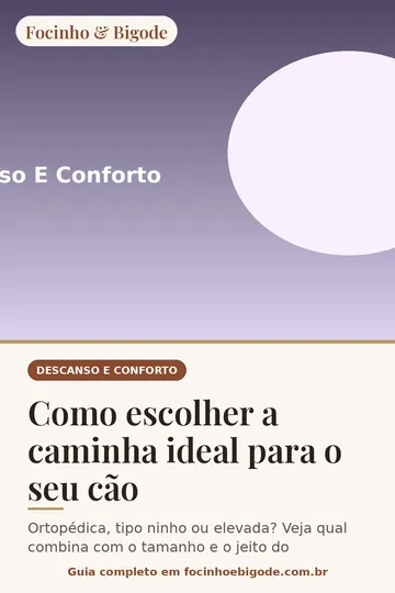 Capa vertical do guia: Como escolher a caminha ideal para o seu cão