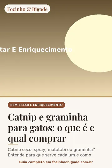 Capa vertical do guia: Catnip e graminha para gatos: o que é e qual comprar