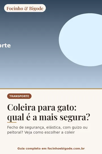 Capa vertical do guia: Coleira para gato: qual é a mais segura?