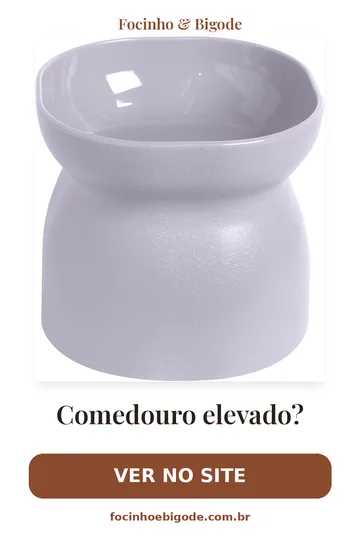 Capa vertical do guia: Comedouro elevado? Veja o que observar para o seu gato