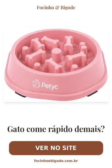 Capa vertical do guia: Gato come rápido demais?