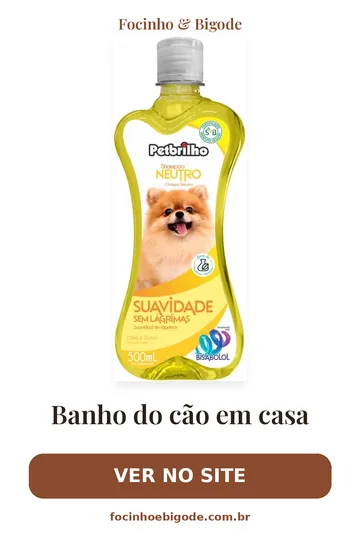 Capa vertical do guia: Banho do cão em casa: passo a passo seguro