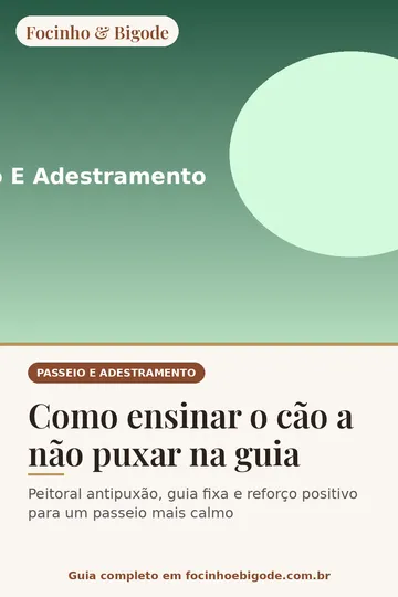 Capa vertical do guia: Como ensinar o cão a não puxar na guia