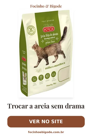 Capa vertical do guia: Trocar a areia sem drama