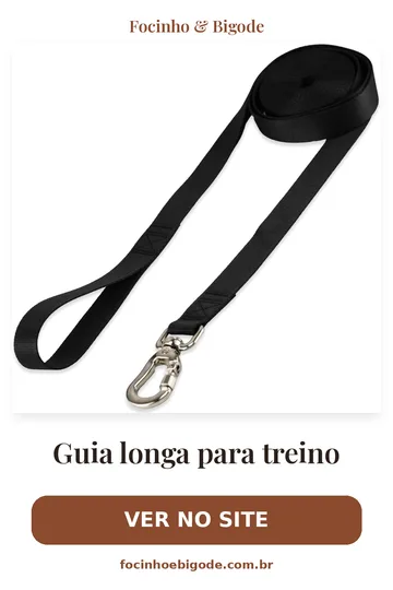Capa vertical do guia: Guia longa para treino: como usar com segurança