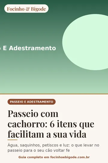 Capa vertical do guia: Passeio com cachorro: 6 itens que facilitam a sua vida