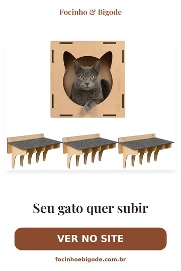 Capa vertical do guia: Seu gato quer subir: dê um caminho