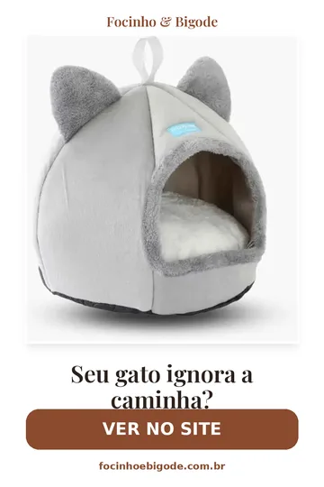 Capa vertical do guia: Seu gato ignora a caminha?