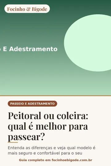 Capa vertical do guia: Peitoral ou coleira: qual é melhor para passear?