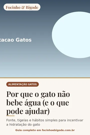 Capa vertical do guia: Por que o gato não bebe água (e o que pode ajudar)