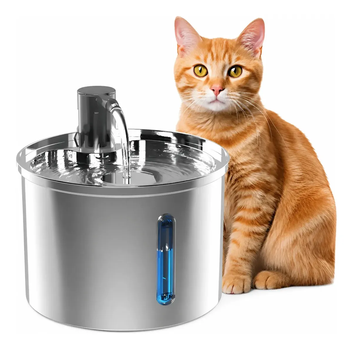 Fonte cilíndrica de aço inox com bico baixo derramando água na bacia rasa e janela oval iluminada em azul na frente, com um gato laranja sentado ao lado