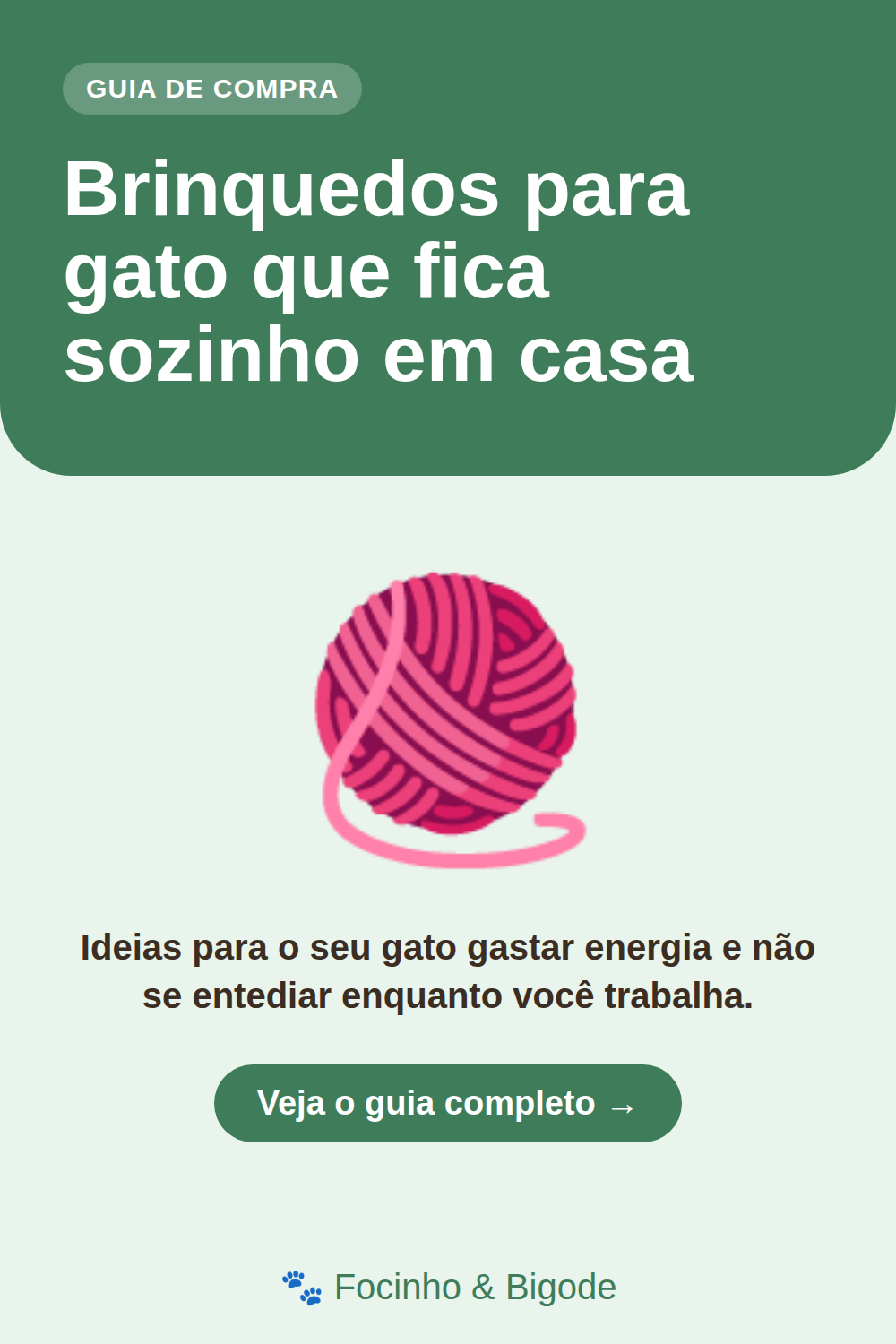 Brinquedos para gato que fica sozinho em casa