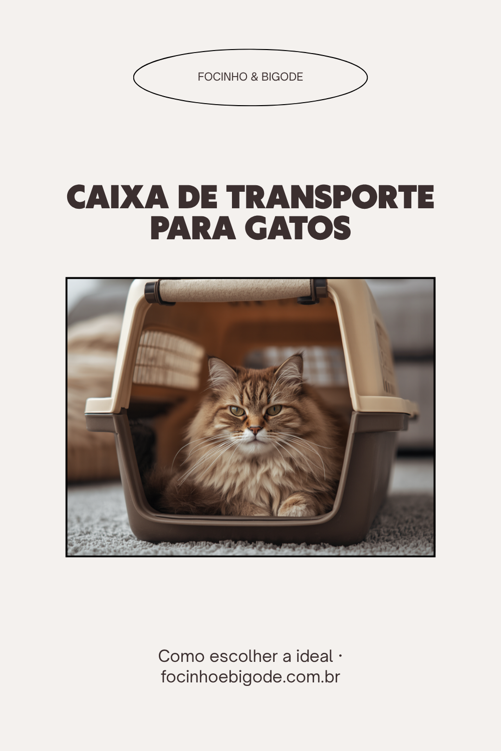 Caixa de transporte para gatos: como escolher