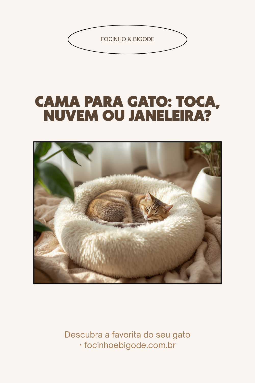 Cama para gato: toca, nuvem ou janeleira?