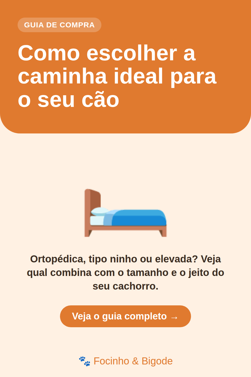 Como escolher a caminha ideal para o seu cão