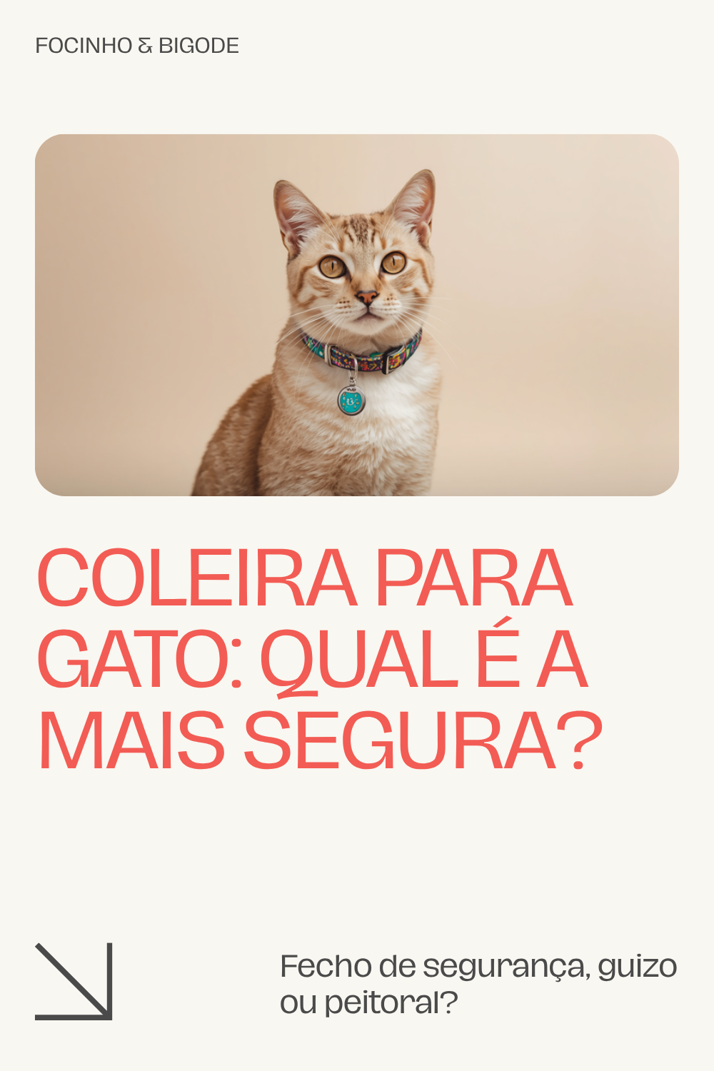 Coleira para gato: qual é a mais segura?