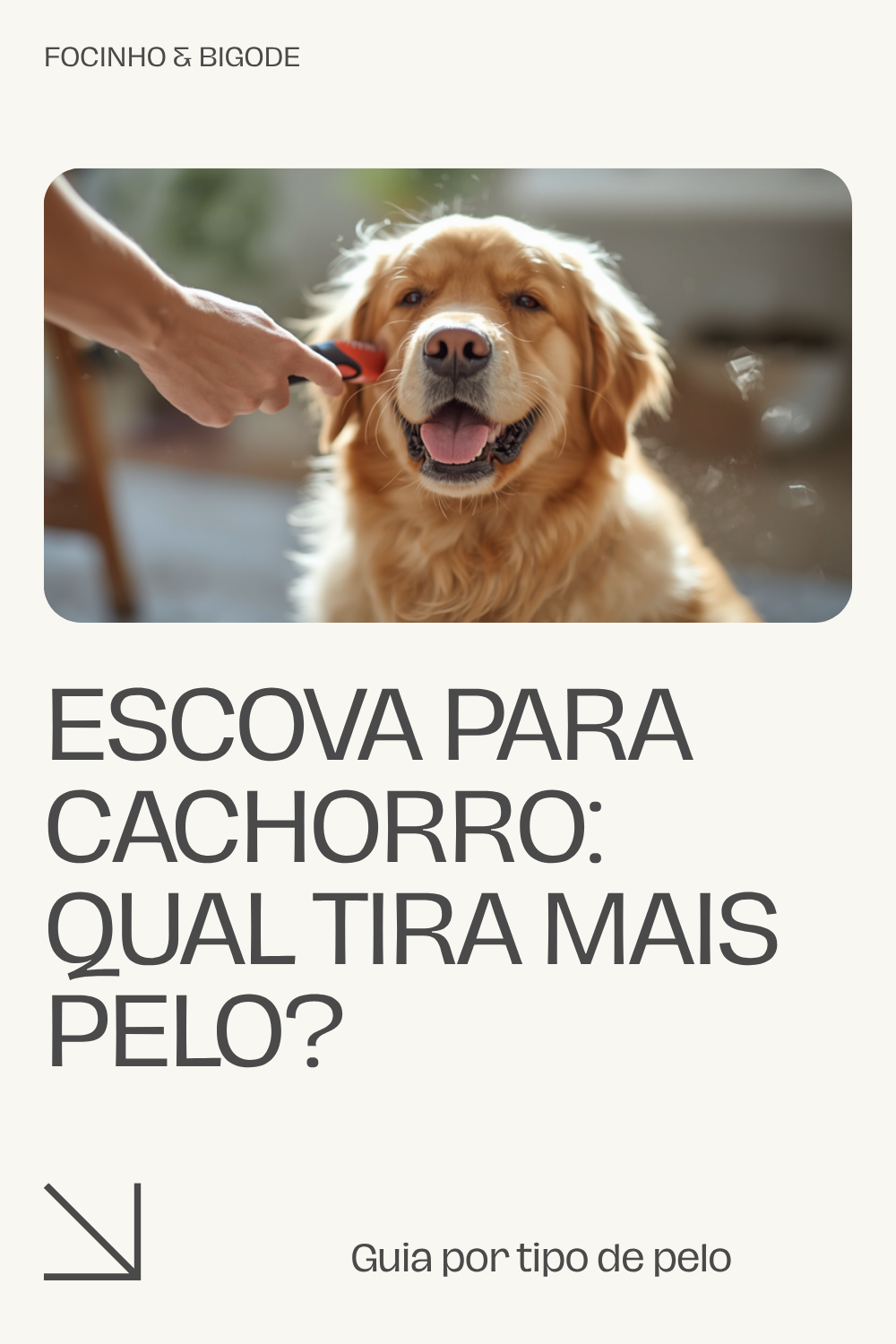 Escova para cachorro: qual tira mais pelo?