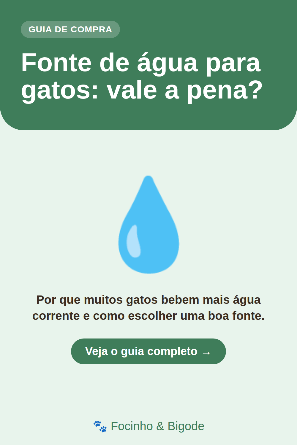 Fonte de água para gatos: vale a pena?