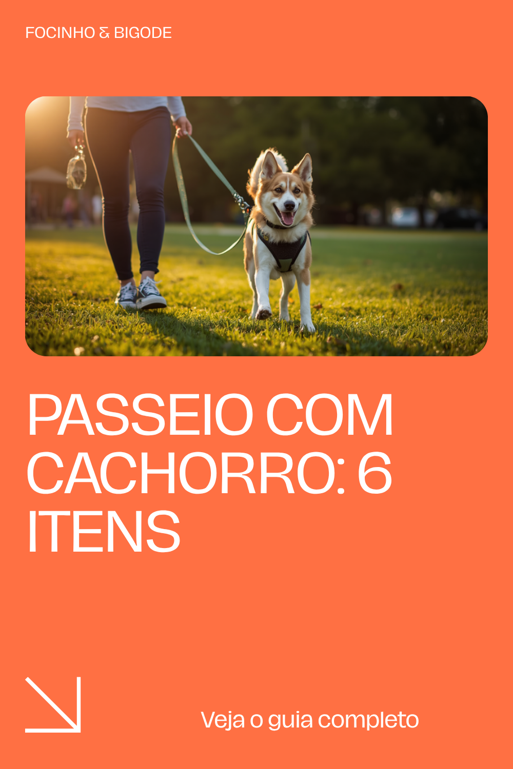 Passeio com cachorro: 6 itens que facilitam a sua vida