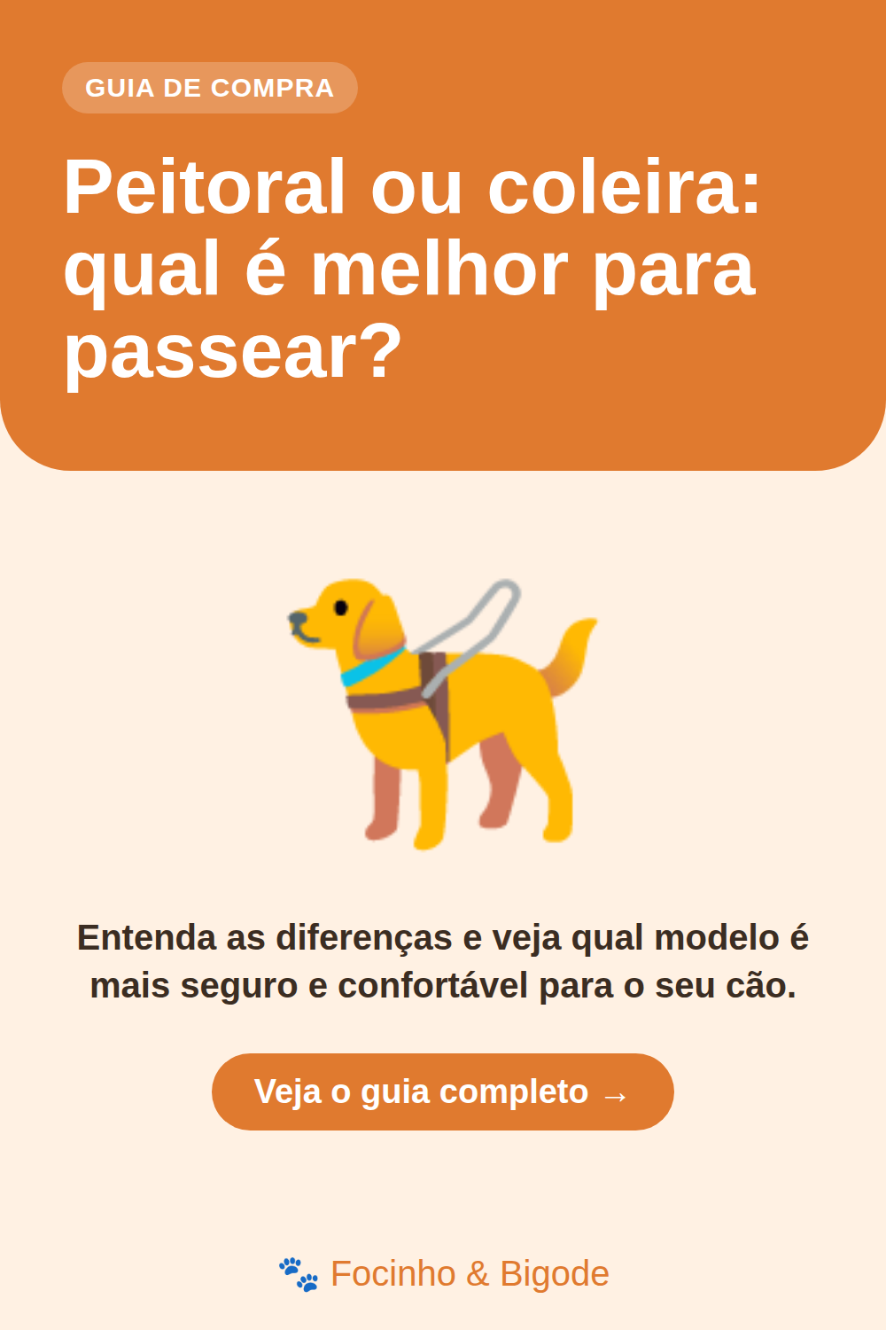 Peitoral ou coleira: qual é melhor para passear?
